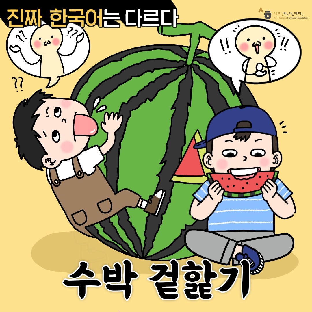 진짜 한국어는 다르다 수박 겉핥기