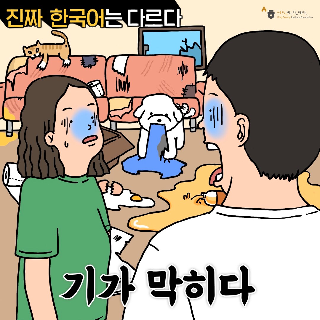 진짜 한국어는 다르다 기가 막히다