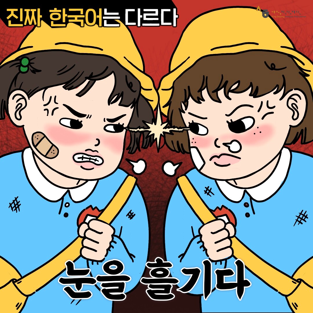 진짜 한국어는 다르다 눈을 흘기다