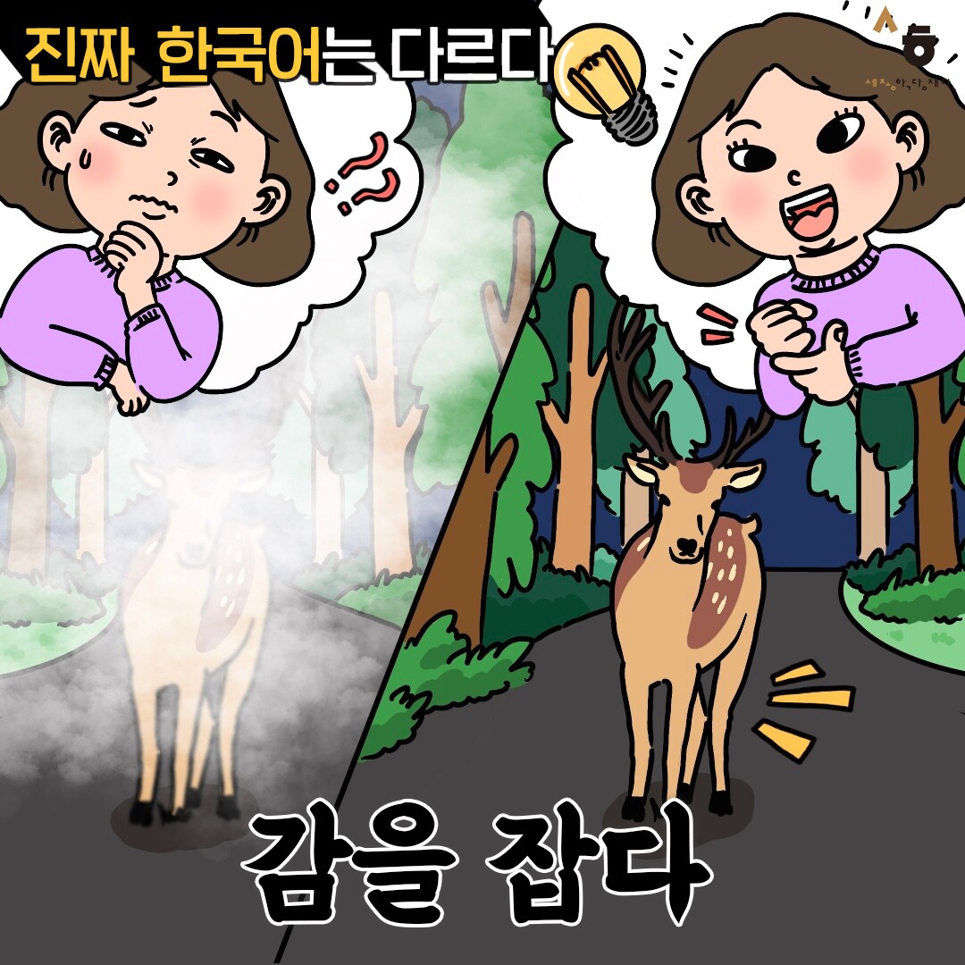 진짜 한국어는 다르다 감을 잡다