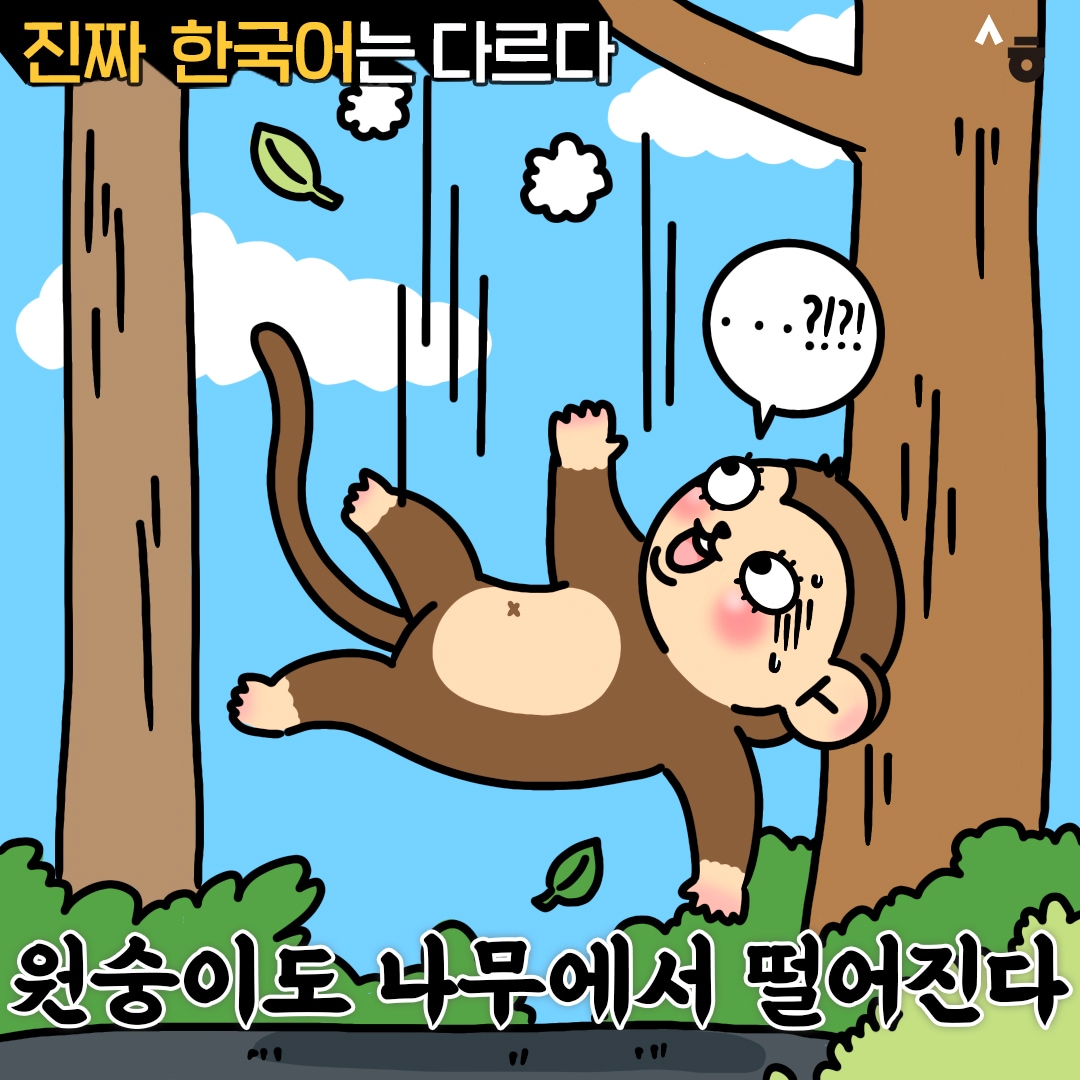 진짜 한국어는 다르다 원숭이도 나무에서 떨어진다