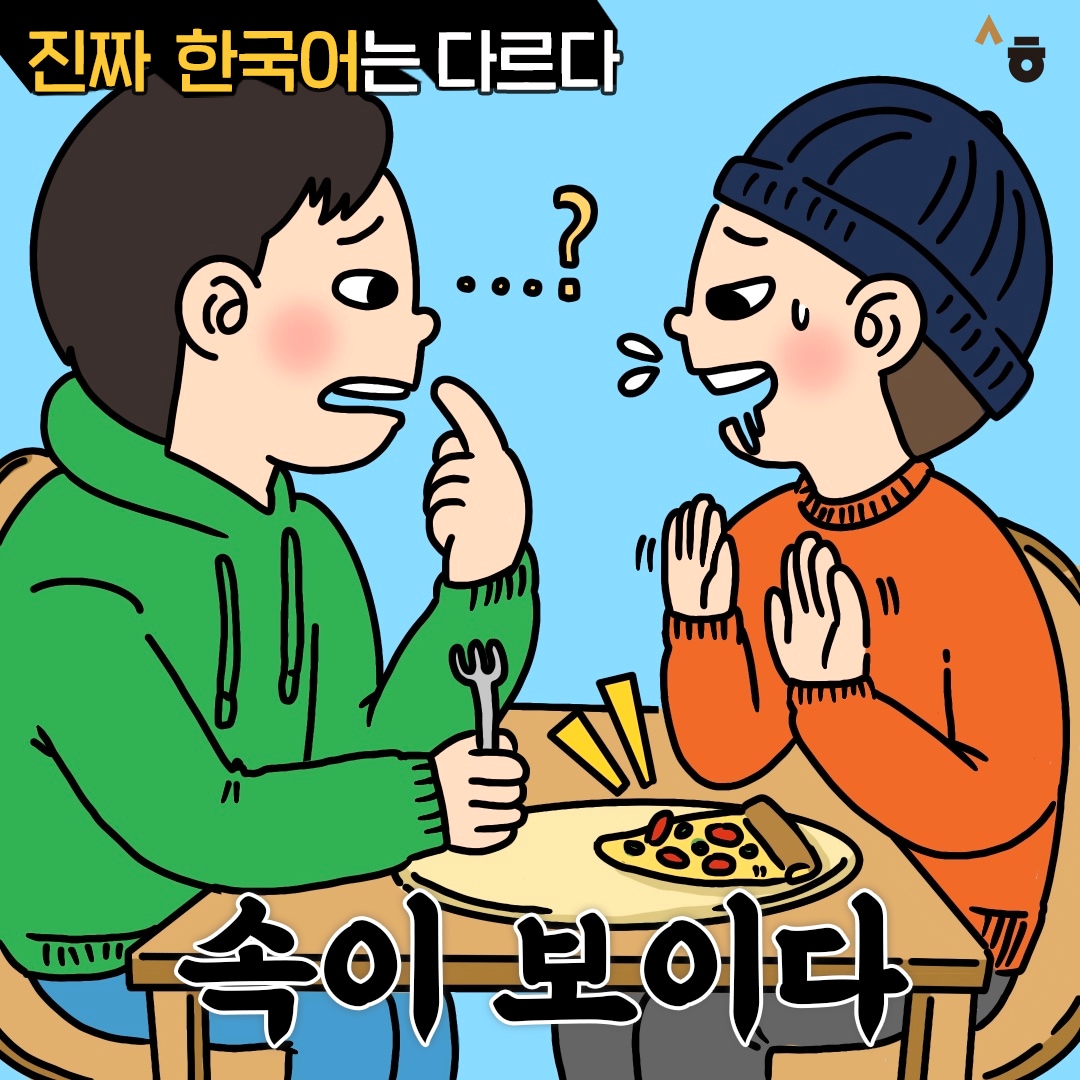 진짜 한국어는 다르다 속이 보이다