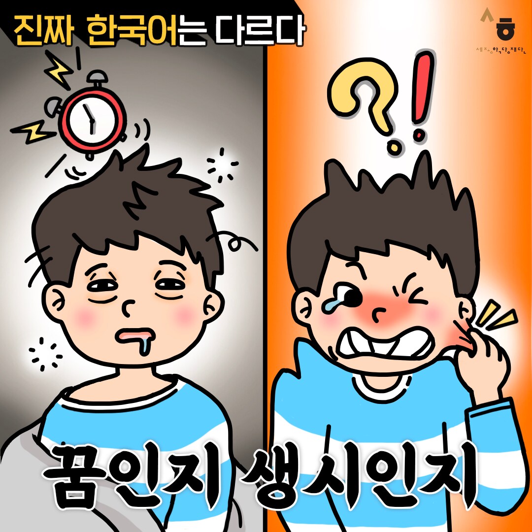진짜 한국어는 다르다 꿈인지 생시인지