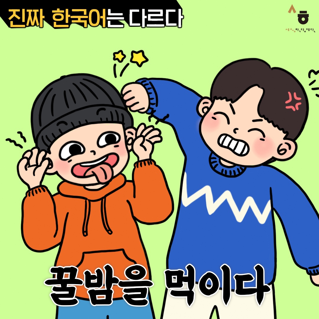 진짜 한국어는 다르다 꿀밤을 먹이다