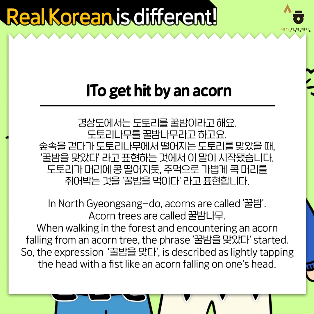 Real Korean is different! To get hit by an acorn 경상도에서는 도토리를 꿀밤이라고 해요. 도토리나무를 꿀밤나무라고 하고요. 숲속을 걷다가 도토리나무에서 떨어지는 도토리를 맞았을 때, '꿀밤을 맞았다' 라고 표현하는 것에서 이 말이 시작됐습니다. 도토리가 머리에 콩 떨어지듯, 주먹으로 가볍게 콕 머리를 쥐어박는 것을 '꿀밤을 먹이다' 라고 표현합니다. In North Gyeongsang-do, acorns are called ‘꿀밤’. Acorn trees are called 꿀밤나무. When walking in the forest and encountering an acorn falling from an acorn tree, the phrase ‘꿀밤을 맞았다’ started. So, the expression '꿀밤을 맞다', is described as lightly tapping the head with a fist like an acorn falling on one’s head.