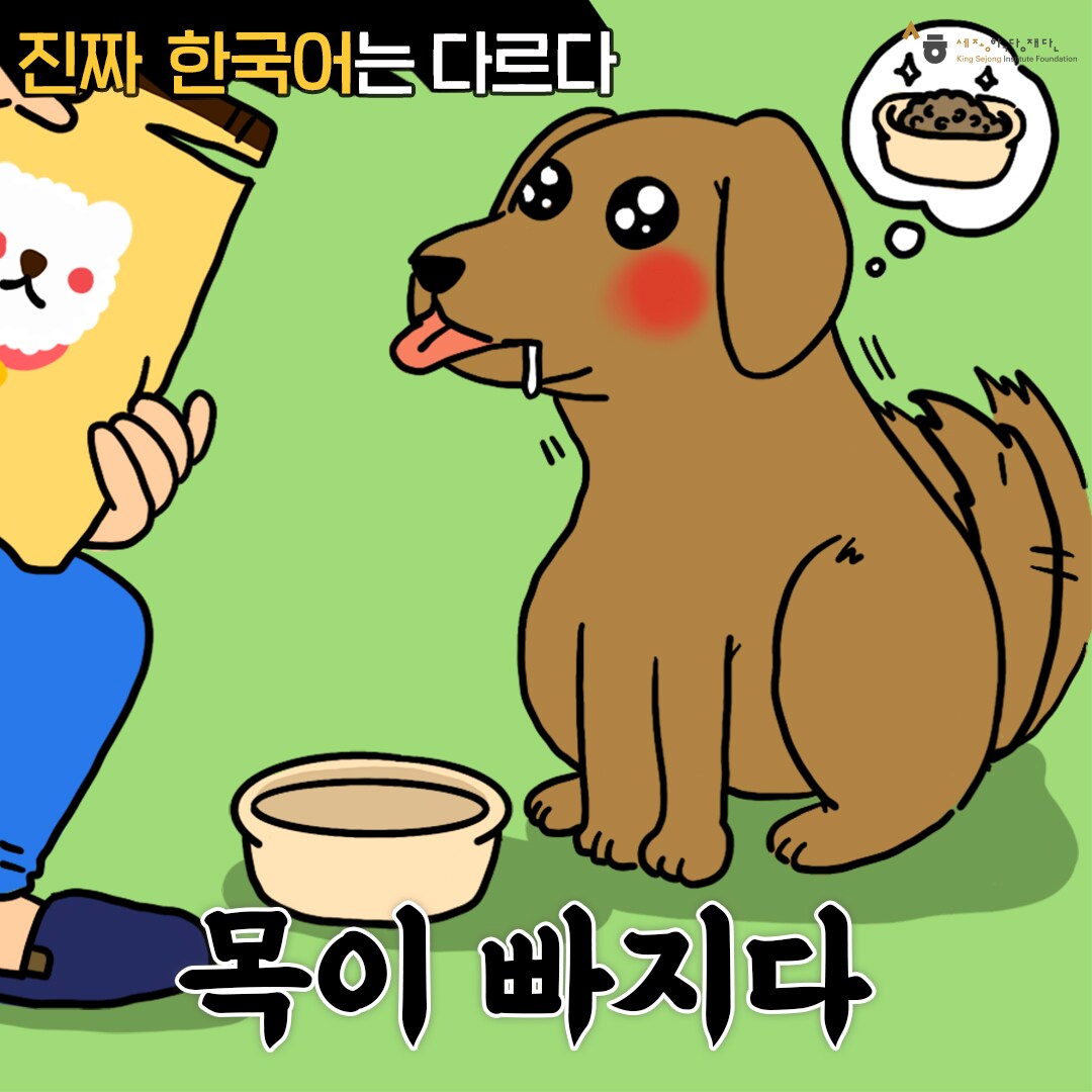 진짜 한국어는 다르다 목이 빠지다