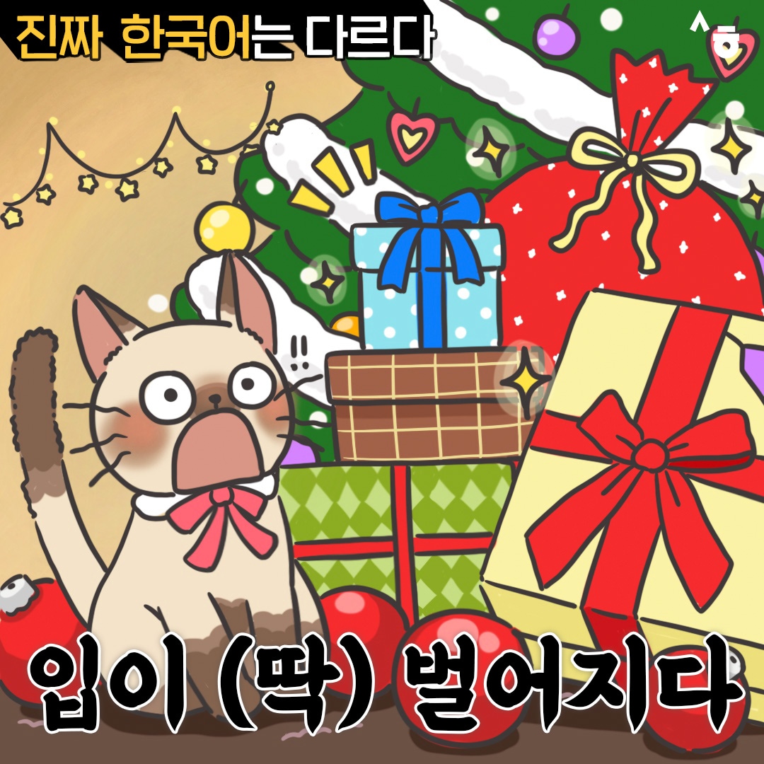 진짜 한국어는 다르다 입이 (딱) 벌어지다