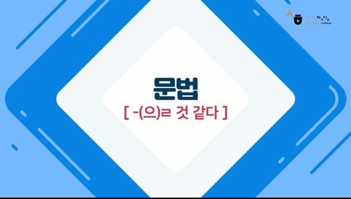 -(으)ㄹ 것 같다