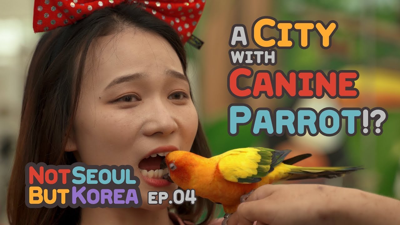 [Not Seoul, But Korea ep.04] Daejeon, City with canine parrot!?