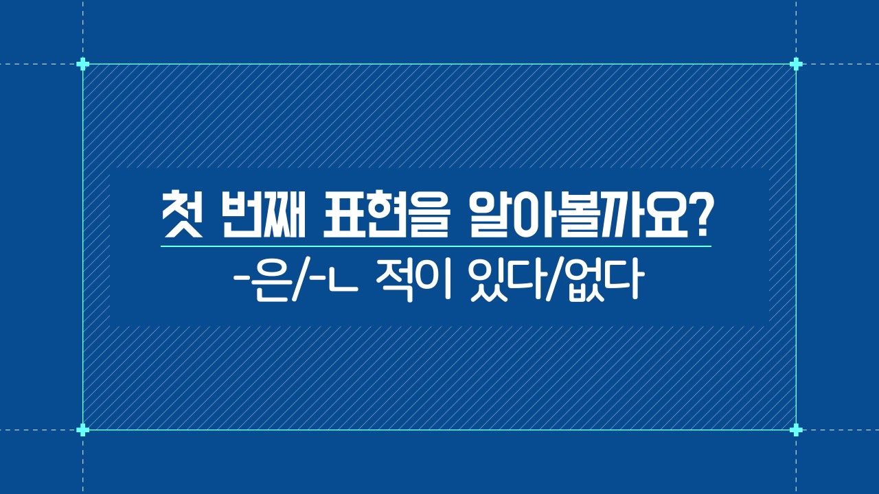 -은/-ㄴ 적이 있다/없다