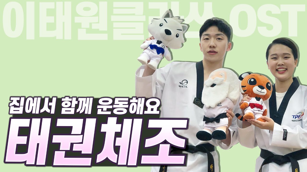 [태권체조] 태권도원 마스터즈의 이태원 클라쓰ost 태권체조