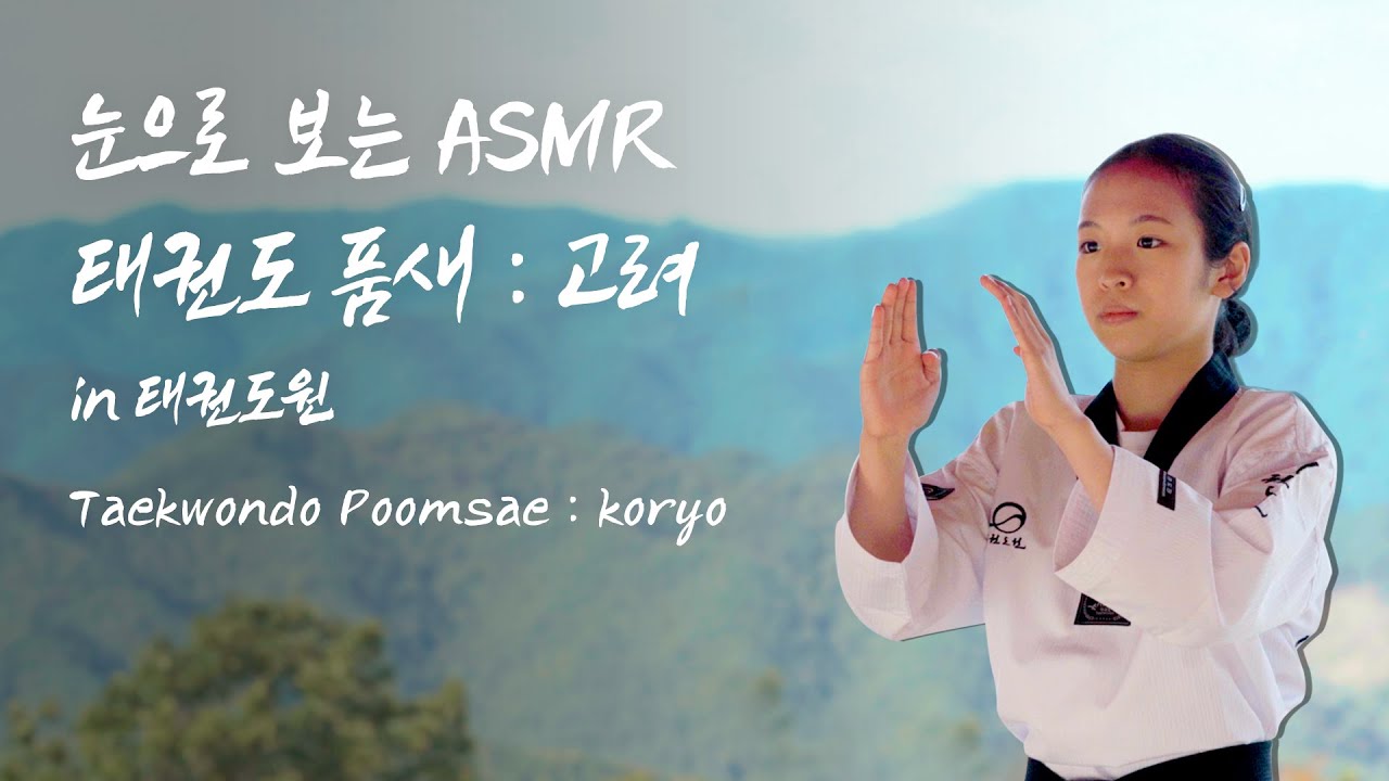 눈으로 보는 ASMR 태권도 품새 : 고려
