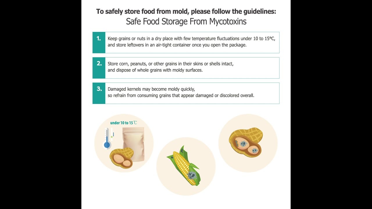 How to Safely Store Food and Prevent Mycotoxins
