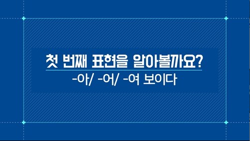 -아/-어/-여 보이다
