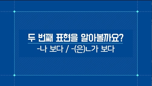 -나 보다/-(은)ㄴ가 보다