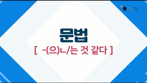 -(으)ㄴ/는 것 같다