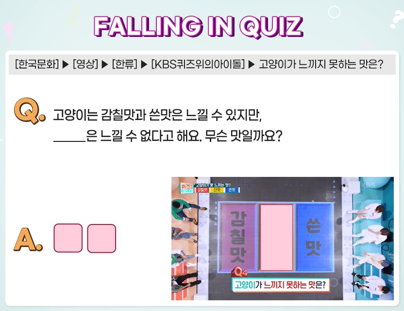 FALLING IN QUIZ 한국문화 영상 한류 KBS퀴즈위의아이돌 고양이가 느끼지 못하는 맛은?
고양이는 감칠맛과 쓴맛은 느낄 수 있지만, 은 느낒 수 없다고 해요. 무슨 맛일까요>?